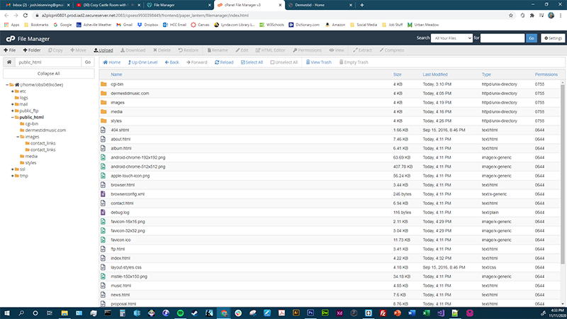 Dermestid Site in GoDaddy FTP